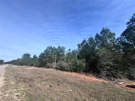 15576 Forest Grove Drive Willis TX 77378