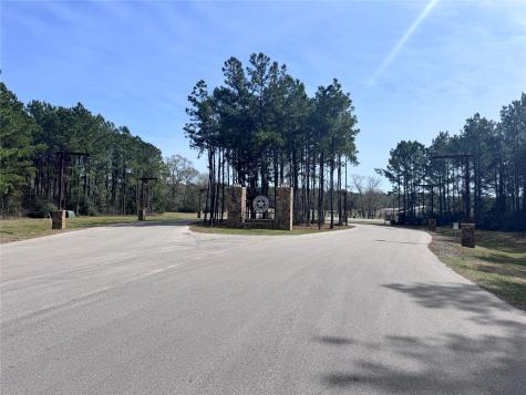 15576 Forest Grove Drive Willis TX 77378