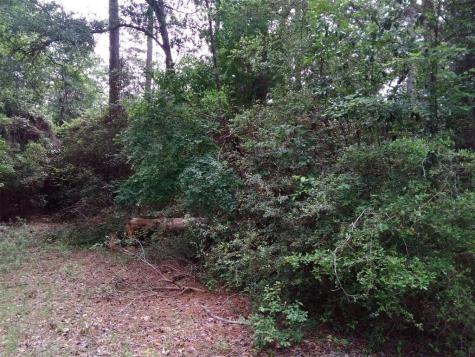 Lot 27 Elk Street Onalaska TX 77360