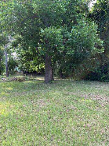 Tbd River Road S Livingston TX 77351