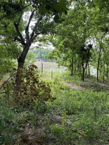 Tbd River Road S Livingston TX 77351