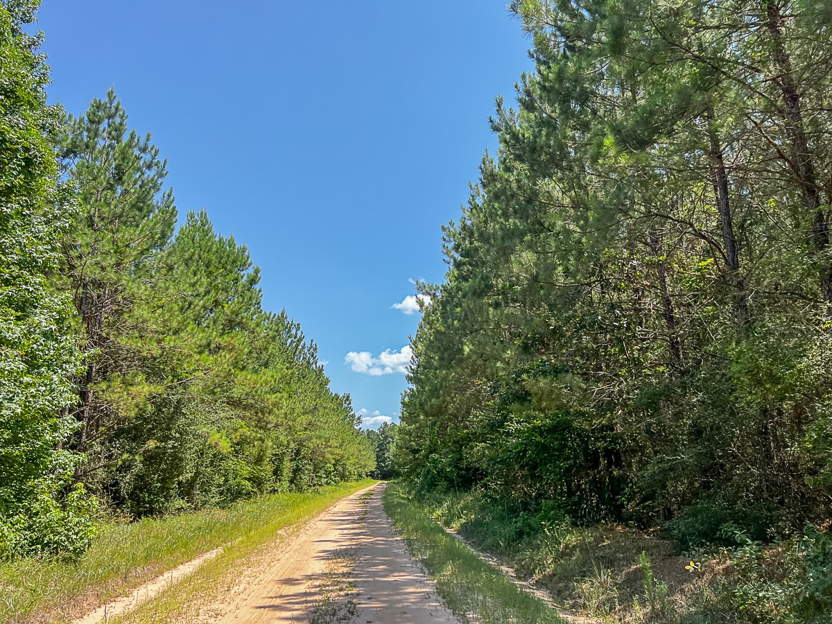 0000 Creek 367 Zavalla TX 75980
