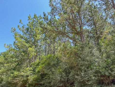 0000 Creek 367 Zavalla TX 75980