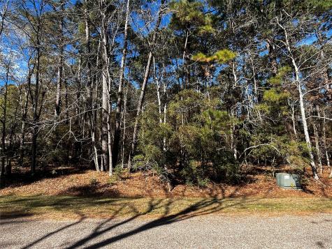 10 Wentworth Lane Coldspring TX 77331