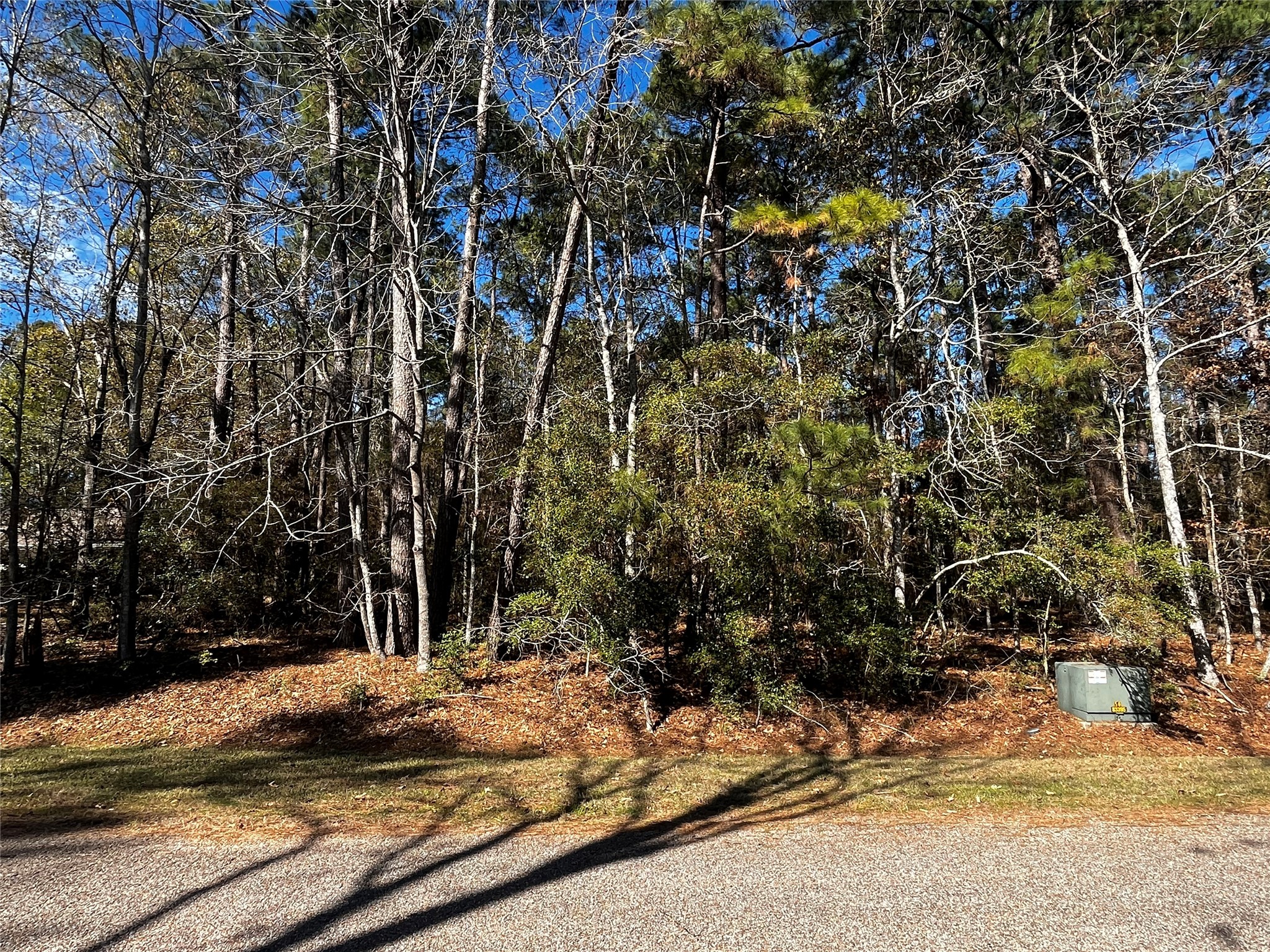 10 Wentworth Lane Coldspring TX 77331