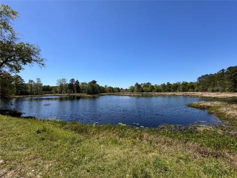 Tbd River Jordan Drive Shepherd TX 77371