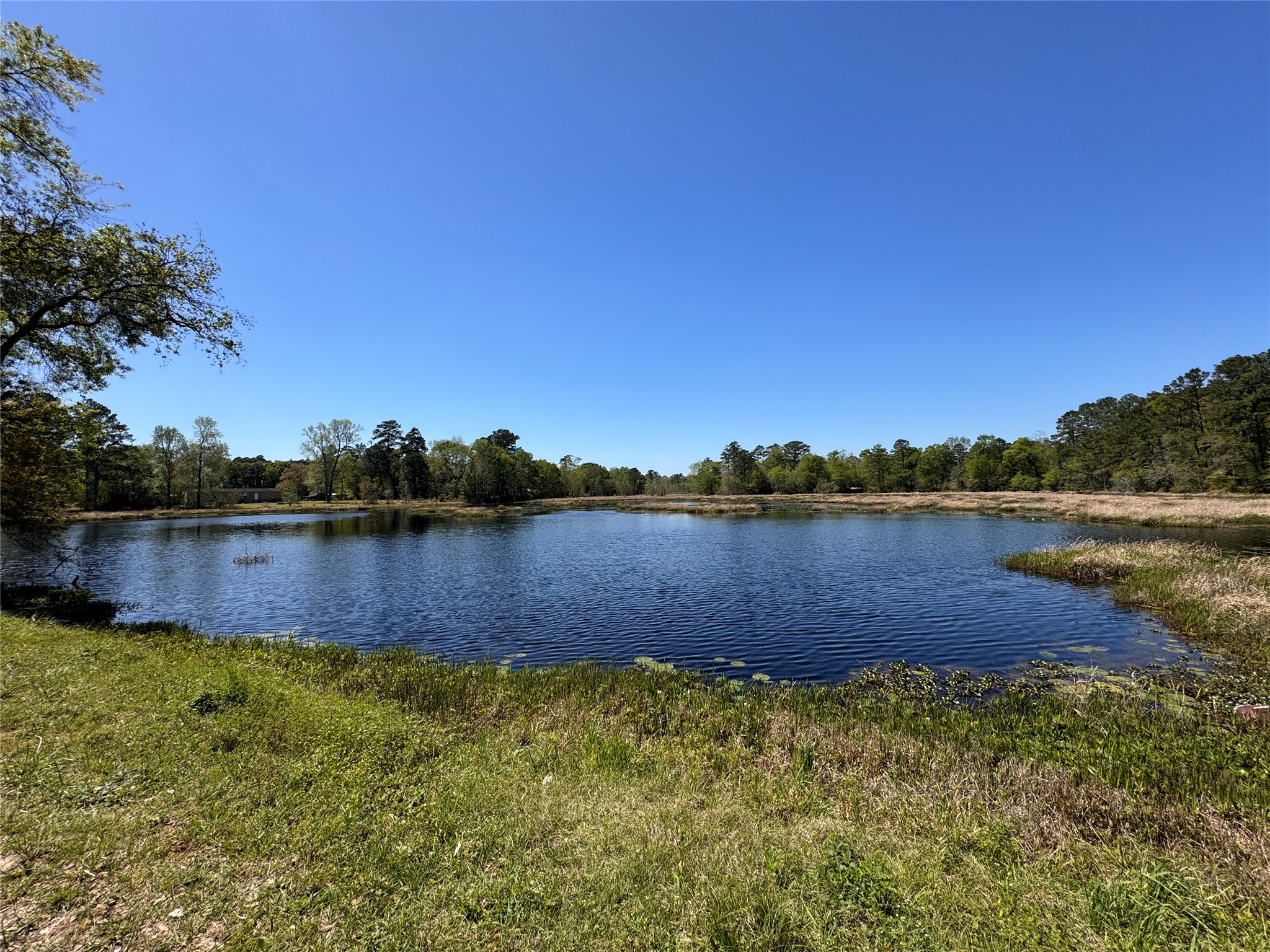 Tbd River Jordan Drive Shepherd TX 77371