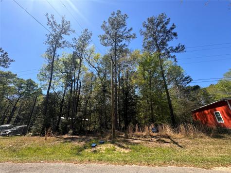 Tbd River Jordan Drive Shepherd TX 77371