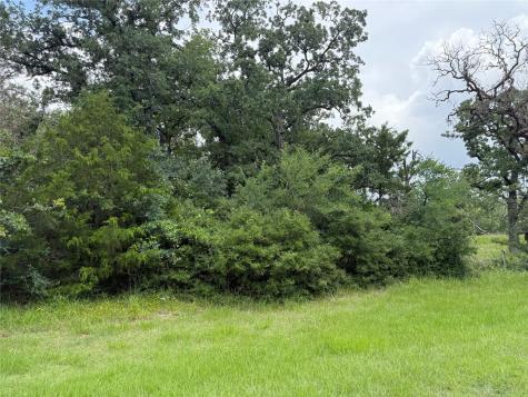 0 Lake Wood Drive Marquez TX 77865
