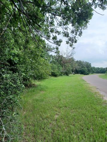 0 Lake Wood Drive Marquez TX 77865