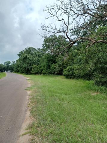 0 Lake Wood Drive Marquez TX 77865