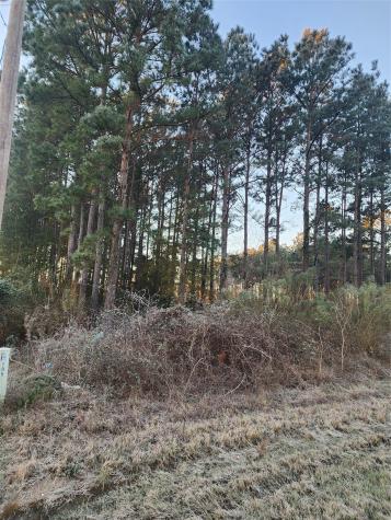 133 County Road 5003 Cleveland TX 77327