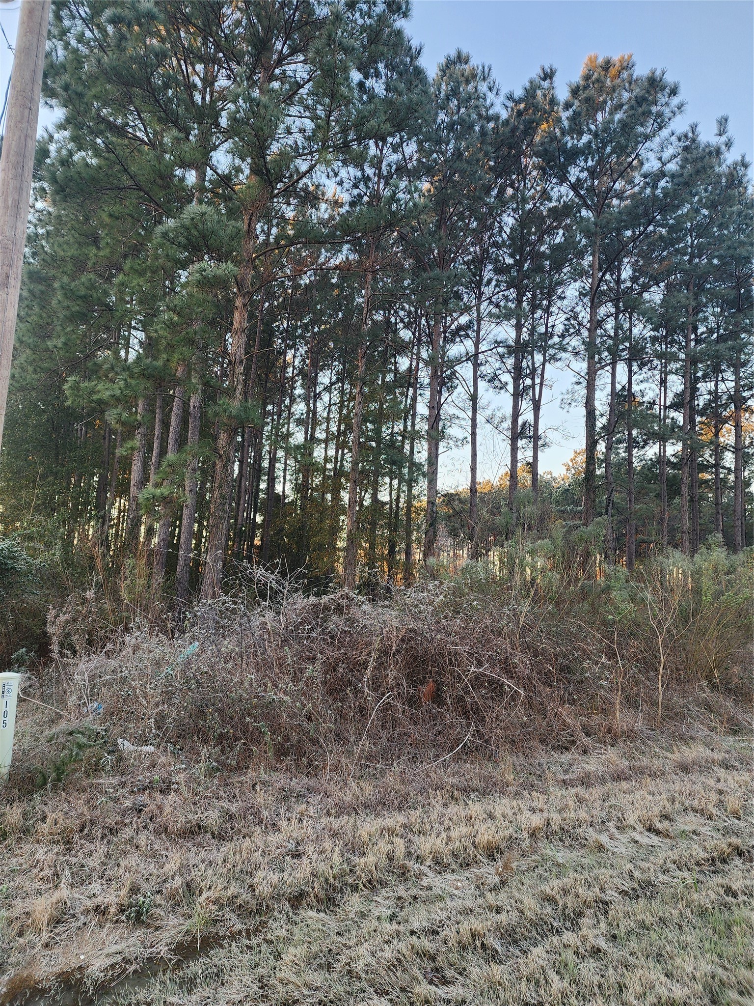 133 County Road 5003 Cleveland TX 77327