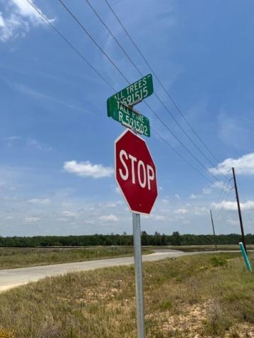 508 Road 5915 15 Cleveland TX 77327