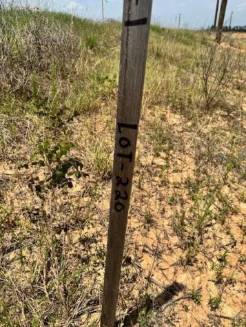 508 Road 5915 15 Cleveland TX 77327