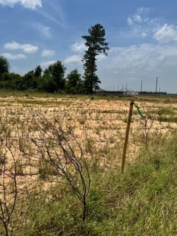 508 Road 5915 15 Cleveland TX 77327