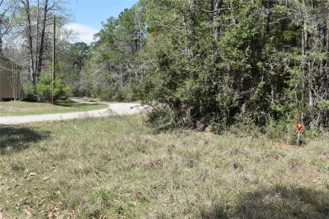 Tbd Eagle Lane Livingston TX 77351