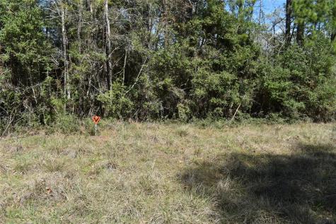 Tbd Eagle Lane Livingston TX 77351
