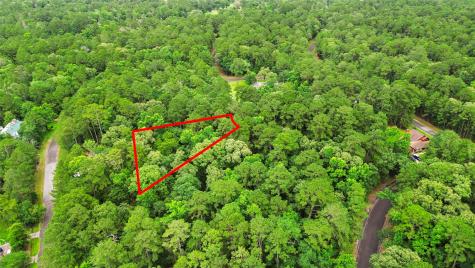 24408 Oakmont Court Huntsville TX 77320