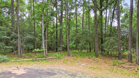 24408 Oakmont Court Huntsville TX 77320