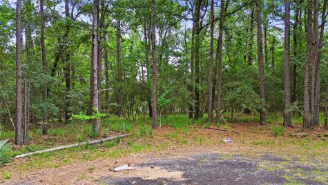 24408 Oakmont Court Huntsville TX 77320