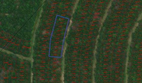 0 Wood Forest Livingston TX 77351