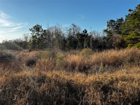 0 Moonshine Hill Road Houston TX 77338