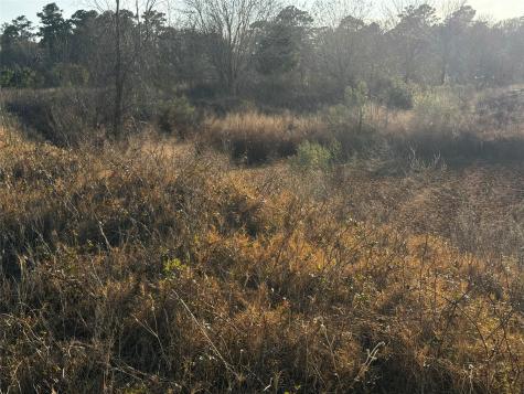 0 Moonshine Hill Road Houston TX 77338