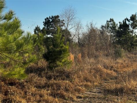 0 Moonshine Hill Road Houston TX 77338
