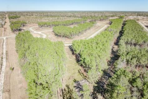 536 Road 5892 Cleveland TX 77327