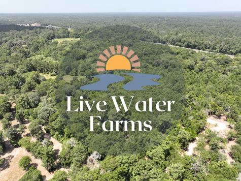 S2L3 Lake Pool Road Shepherd TX 77371