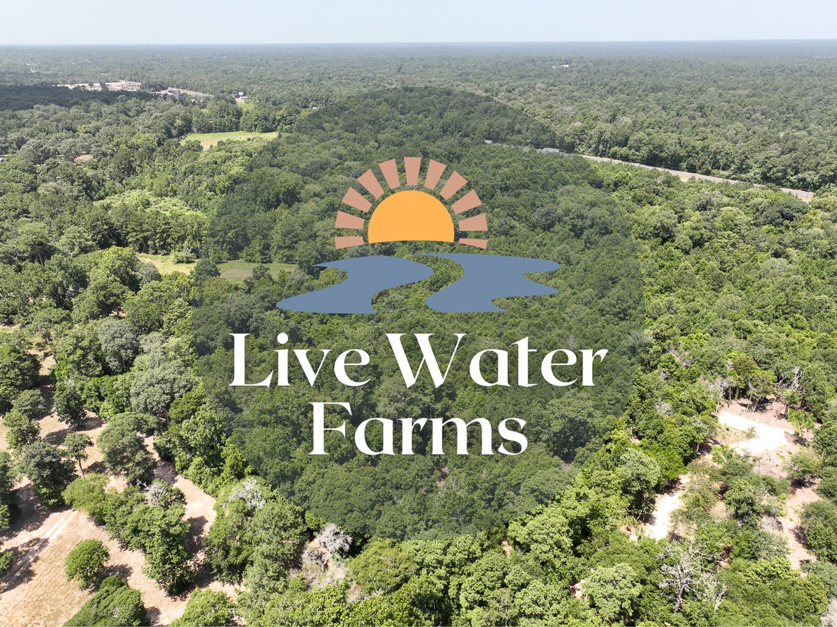 S2L3 Lake Pool Road Shepherd TX 77371