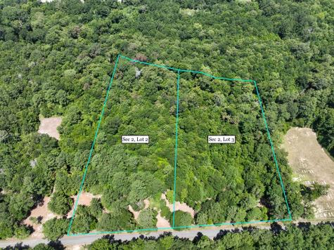 S2L3 Lake Pool Road Shepherd TX 77371