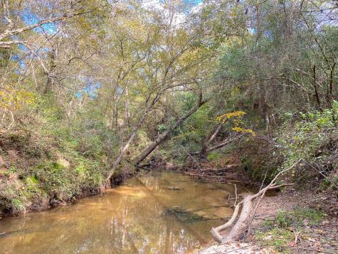 S2L3 Lake Pool Road Shepherd TX 77371