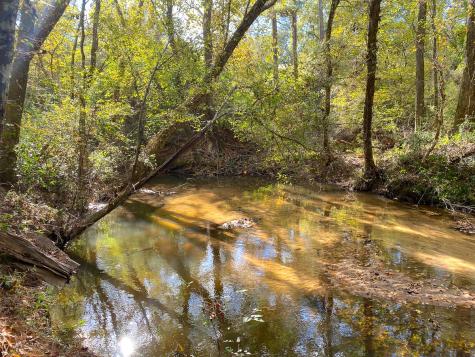 S2L3 Lake Pool Road Shepherd TX 77371