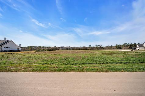 8572 Cedar Lake Lane Plantersville TX 77363