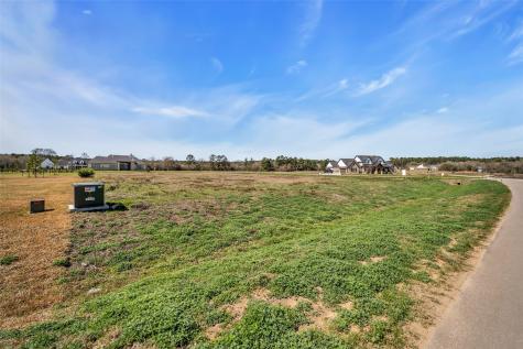 8572 Cedar Lake Lane Plantersville TX 77363