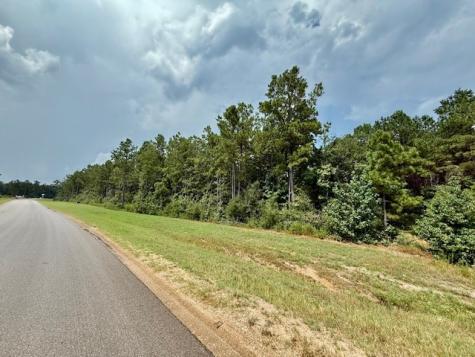 10769 Ruger Road Willis TX 77378