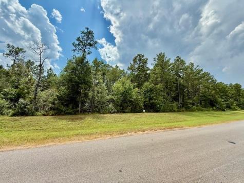 10769 Ruger Road Willis TX 77378