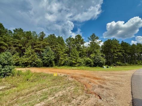 10769 Ruger Road Willis TX 77378