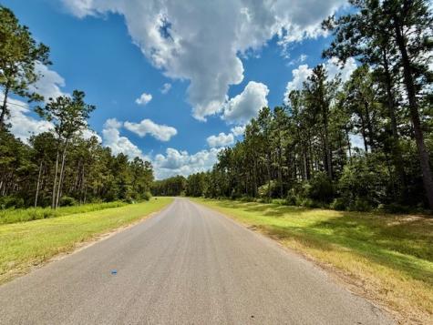 10769 Ruger Road Willis TX 77378