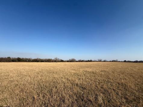 Tbd Tract 5 Fcr 445 Fairfield TX 75840