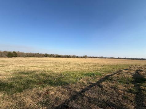Tbd Tract 5 Fcr 445 Fairfield TX 75840