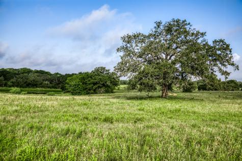 Tract 4 S Nassau Road Round Top TX 78954