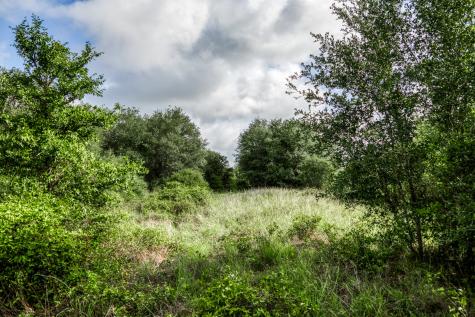 Tract 4 S Nassau Road Round Top TX 78954