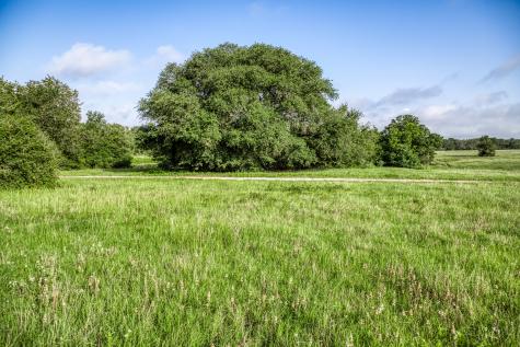 Tract 4 S Nassau Road Round Top TX 78954