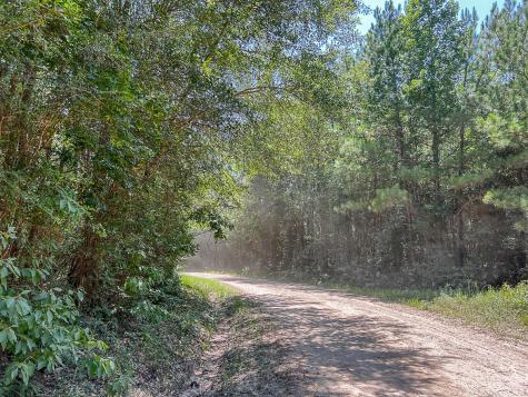 00000 Creek 367 Zavalla TX 75980