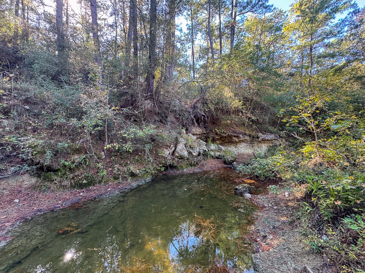 80 Rosenwall Road Huntsville TX 77320