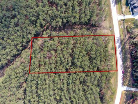 15688 Wooded Trail Way Willis TX 77378