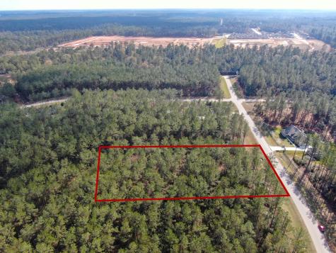 15688 Wooded Trail Way Willis TX 77378